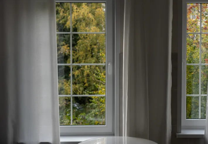 window home service